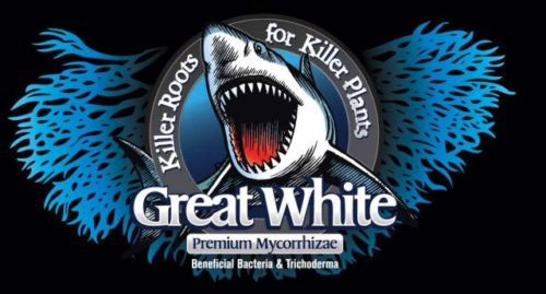 Great White 32 oz Plant Success Mycorrhizae Hydroponics  