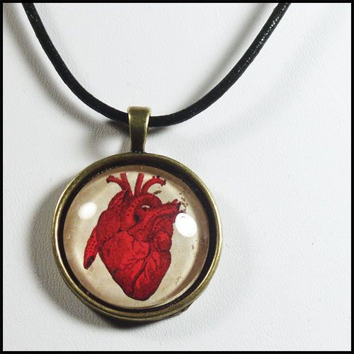 ANATOMICAL HEART CORAZON pendant necklace anatomy love  