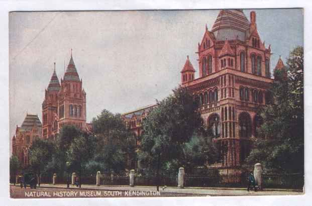 UK ART SOUTH KENSINGTON NATURAL HISTORY MUSEUM 1905 PC  