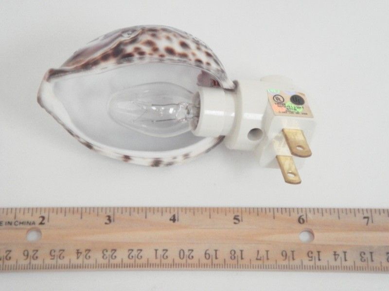 HAND CARVED COWRIE BEACH SHELL NIGHTLIGHT BATHROOM KITCHEN #7203 