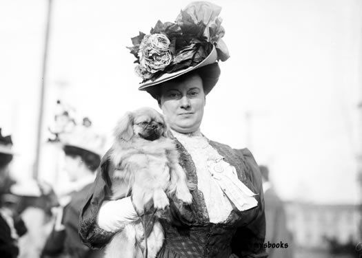   Mrs. J.P. Morgan Jrs Dog Pekinese Pekingese Pou sa photo 1908  