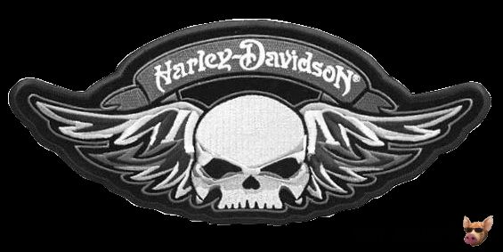 HARLEY WINGED GRAY SKULL DEATH SKULL PATCH **AWESOME**  