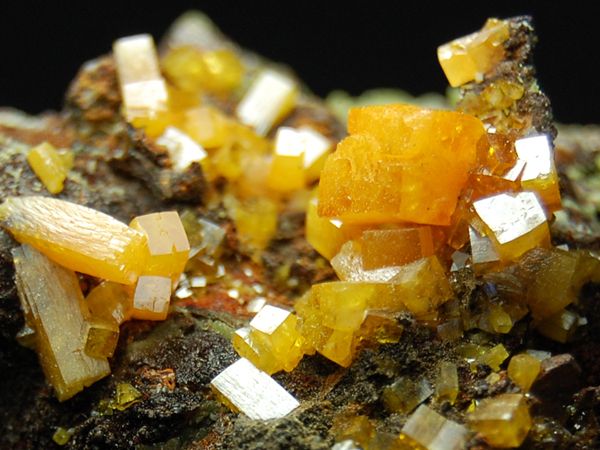 Golden Wulfenite w/Green Botryoidal Mimetite, Durango,  