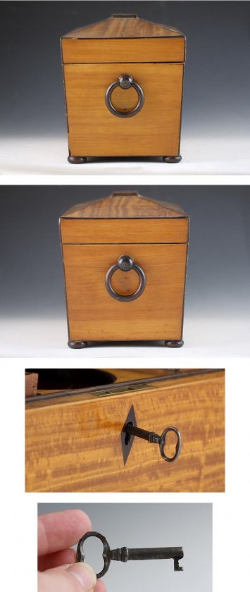 ANTIQUE ENGLISH SATINWOOD TEA CADDY 1800s  