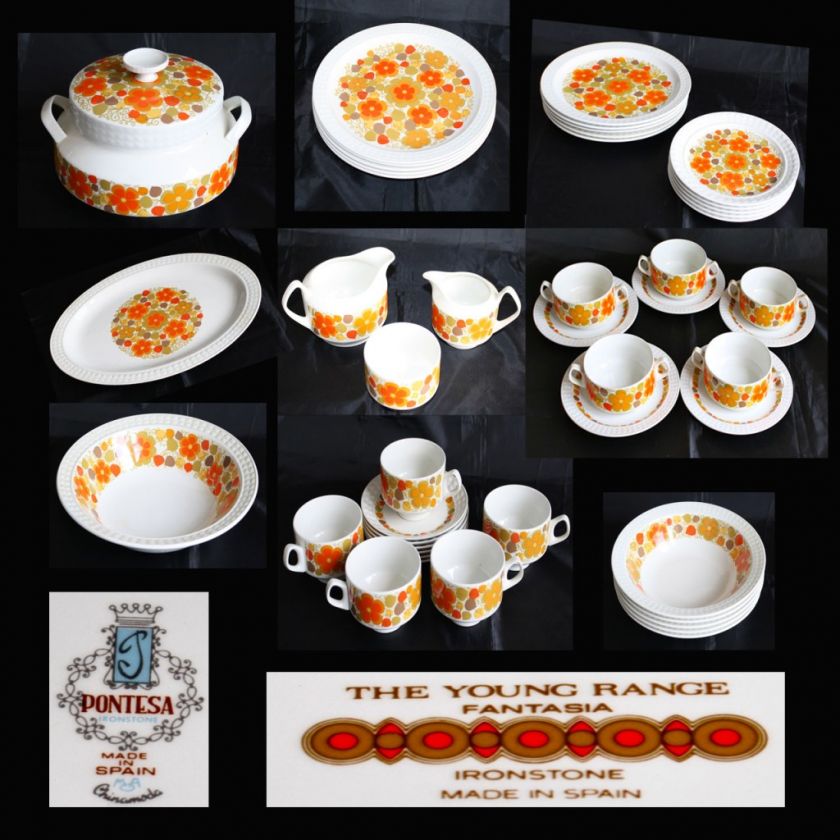   RETRO 70S PONTESA THE YOUNG RANGE FANTASIA 46 PIECE DINNERWARE SET