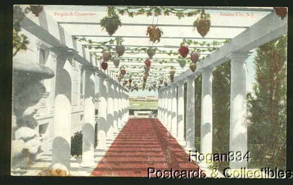 Pergola And Grapevine Atlantic City New Jersey Postcard  