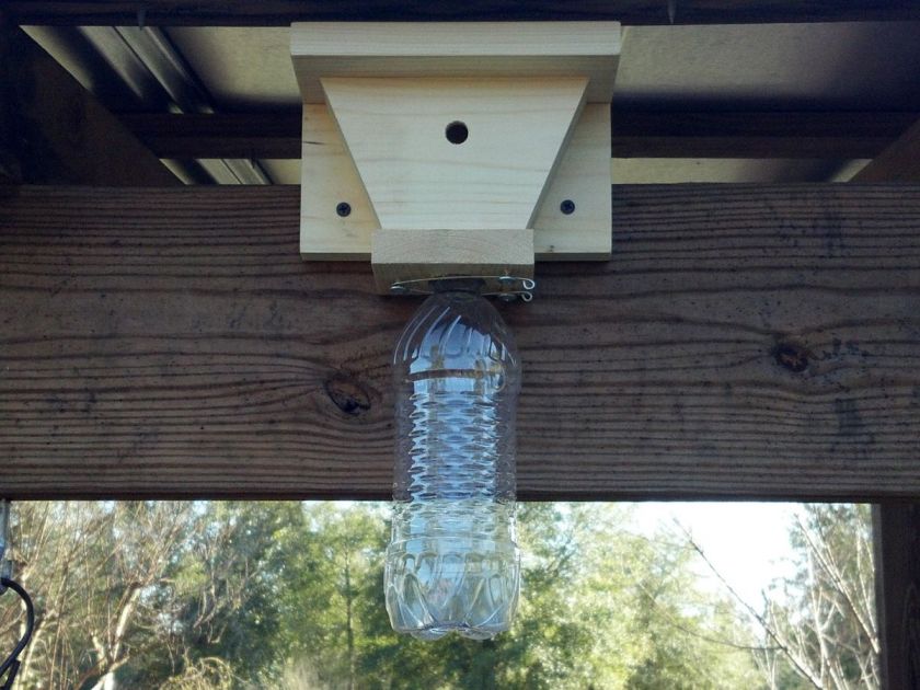 Carpenter Bee Traps ____ No chemicals _____ No bait   