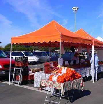 Flame Retardant Canopy Replacement Top 10 x 10 ORANGE  