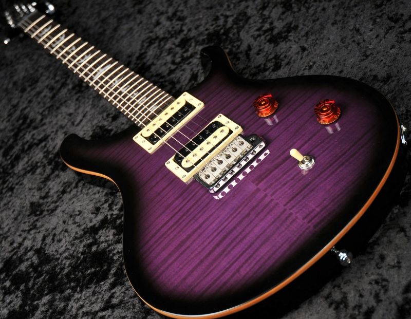 PRS SE Custom 24 Electric Guitar Purple Burst  