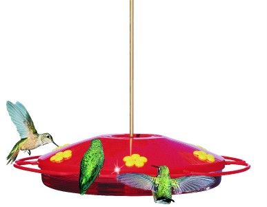 Perky Pet® Oasis Hummingbird Feeder Hang or Pole Mount 078978221000 