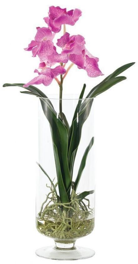 NDI 2011 Fucshia Orchid Contemporary Floral Arrangement  