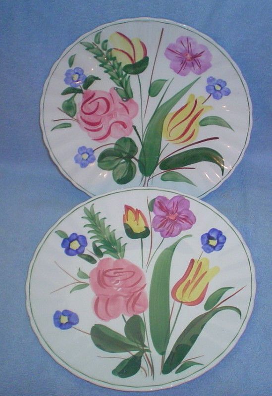 Blue Ridge 9 3/8 Dinner Plates Garden Lane 2 Plates  