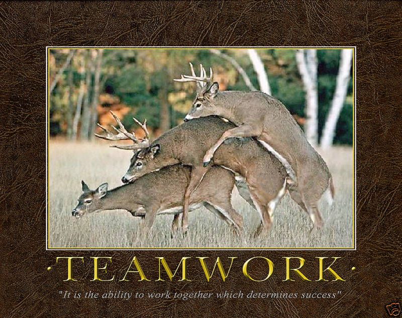 TEAMWORK POSTER WHITETAIL DEER, DEER SHEDS, 18 x 24  