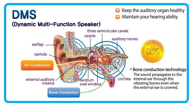 EX2  501 Premium Bone Condection Vibration Earphone  