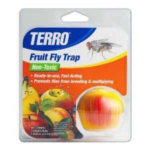 TERRO FRUIT FLY TRAP INDOOR INSIDE GET RID OF LITTLE FLYING KNATS SAFE 