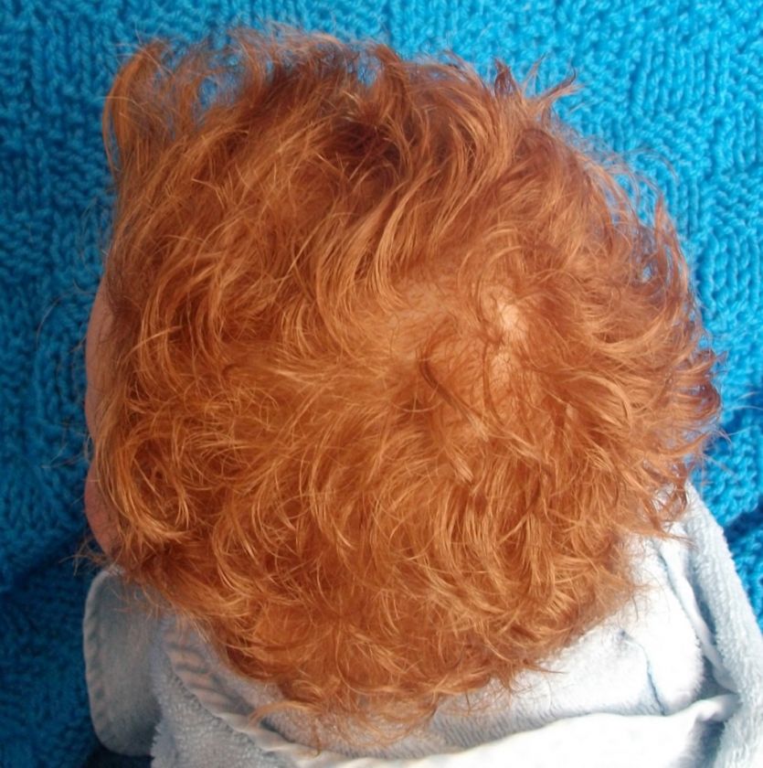 Reborn into Baby Boy (Sandy Faber Doll) Human Hair, GHSP Strawberry 