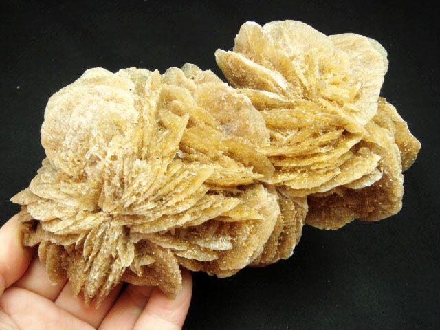 380g AAA twins Flowery Desert Rose Mineral Specimen  