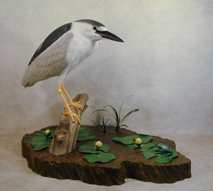 Black crowned Night Heron Original Wood Carving  